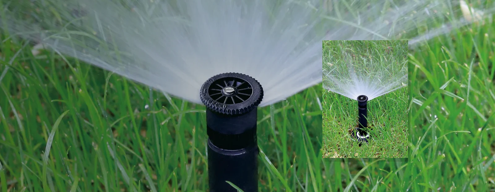Pop-Up Spray Sprinklers