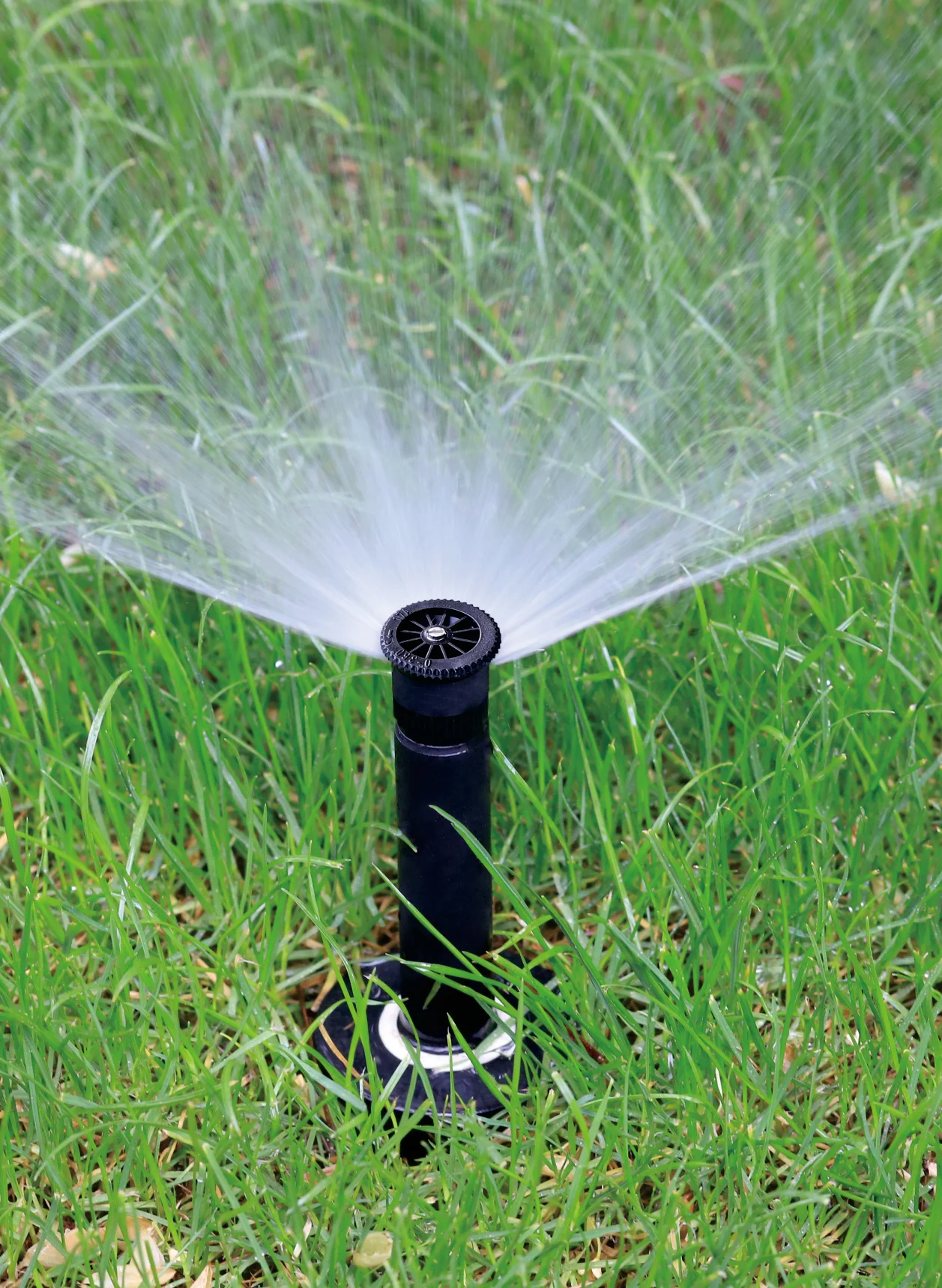 Pop-Up Spray Sprinklers